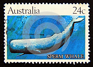 Postage stamp Australia, 1982. Sperm Whale Physeter macrocephalus fish