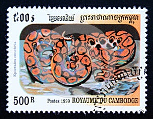 Postage stamp Cambodia, 1999, Rainbow Boa, Epicrates cenchria