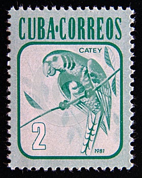 Postage stamp Cuba 1991. Cuban Parakeet Aratinga euops bird