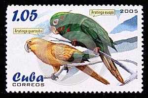 Postage stamp Cuba 2005. Golden Parakeet Aratinga guarouba, Cuban Parakeet Aratinga euops