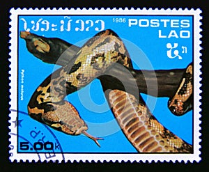 Postage stamp Laos, 1986. Indian Rock Python Python molurus snake