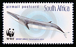 Postage stamp South Africa, 1998. Bryde's Whale Balaenoptera edeni fish