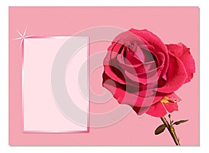 Postacard with Red rose.