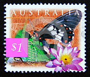Postage stamp Australia, 1997. Big Greasy Cressida cressida butterfly, Blue Waterlilly