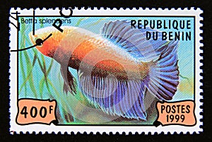 Postage stamp Benin 1999. Siamese Fighting Fish Betta Splendens