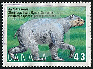 Postage stamp