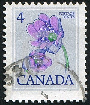 Postage stamp