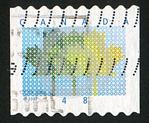Postage stamp