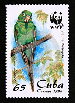 Postage stamp Cuba, 1998. Cuban Parakeet Aratinga euops bird animal portrait