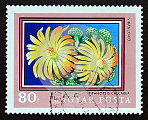 Postage stamp Hungary, Magyar, 1971. Titanopsis calcarea flower