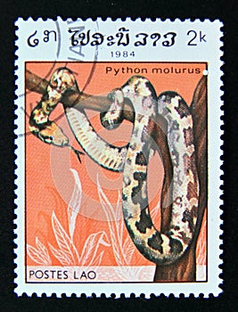Postage stamp Laos, 1984. Indian Rock Python Python molurus snake