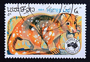 Postage stamp Laos, 1984, Tiger Quoll, Dasyurus maculatus