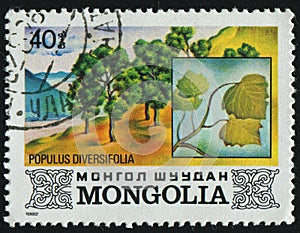Postage stamp