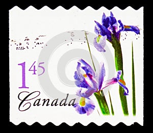 Postage stamp printed in Canada shows Purple Dutch Iris, Flower Definitives 1st series serie, circa 2005