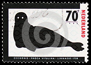 Postage stamp printed in Netherlands shows Harbor Seal (Phoca vitulina), Endangered Animals serie, circa 1985