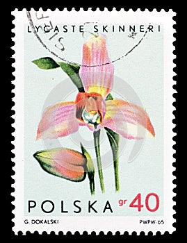 Postage stamp printed by Poland