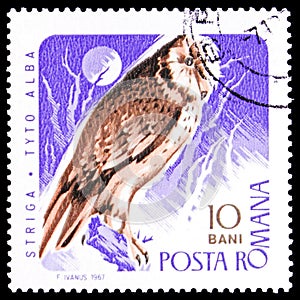 Postage stamp printed in Romania shows Western Barn Owl Tyto alba, Birds of Prey serie, circa 1967