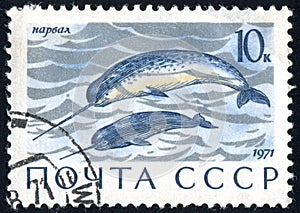 Postage stamp