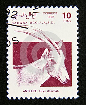 Postage stamp Sahara OCC, 1992. Scimitar Oryx Oryx dammah antelope