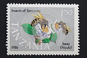 Postage stamp showing a honey bee Apis mellifera on a flower