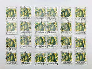 Postage stamps of Malaysia. Malaysia 1986 - National Fruit Series FDC  Kuini Mangifera odorata