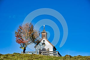 Postalm chapel in a field with a tree next to it in Salzkammergut, Austria