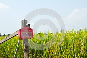 Postbox in countryside