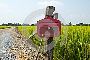 Postbox in countryside