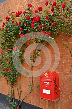 Postbox with red flowers