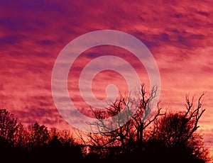 Postcard with a beautiful vivid sky at sunset