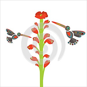 Postcard, bright flowers with bird Hummingbird, seasonal pollination