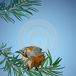 Postcard with bullfinch on a branch