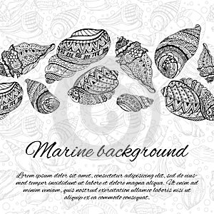 Postcard design with sea shells. Hand drawn illustration.