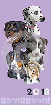 Postcard with dogs of different breeds-4