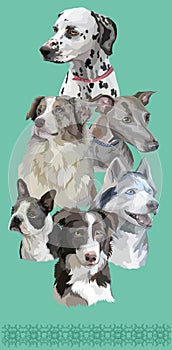 Postcard with dogs of different breeds-6