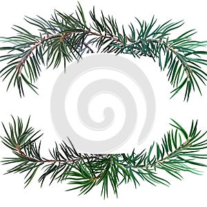 Postcard with fir tree. Perfect for New Year