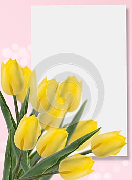 Postcard with fresh flowers tulips