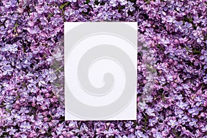 Postcard with fresh splendid lilac flowers and empty tag for your text  , spring and summer blossom background.