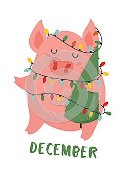 Postcard with funny pig holding Christmas tree and Christmas lights. Chinese year of the pig. Colorful vector