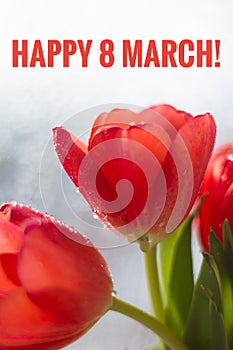 Postcard Happy March 8. Greeting card for the holiday. International Women`s Day. Holiday for girls