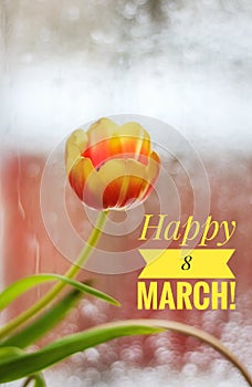 Postcard Happy March 8. Greeting card for the holiday. International Women`s Day. Holiday for girls