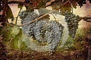 Postcard from Italy (series)