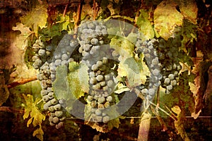 Postcard from Italy (series)