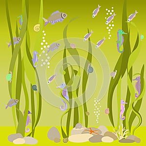 a postcard made of colorful seashells and seahorses, fish