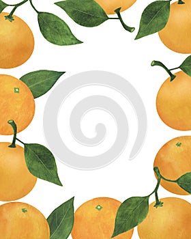 Postcard Mandarins Citrus fruits Watercolor illustrations Set of summer floral decorations Christmas Food illustration Tropical f