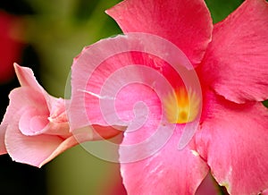 postcard serie nomber 1