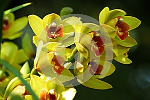 postcard serie nomber 3