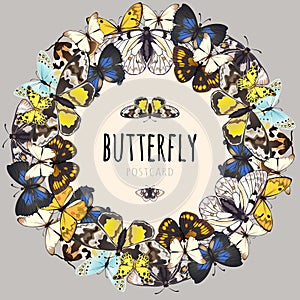 Postcard, set of butterflies with space for text