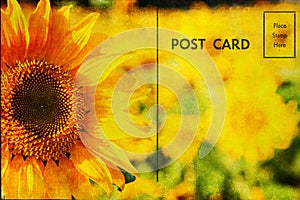 Postcard with sunflowers photo