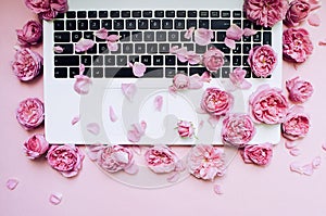 Postcard template. The laptop keyboard is strewn with pink roses, buds on a pink background. top view. Flat lay. Festive